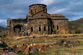 talin-1