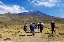 ararat-49