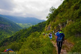 ластивер (1)