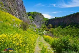 garni-5