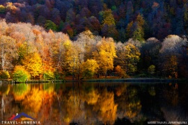goshavank-2