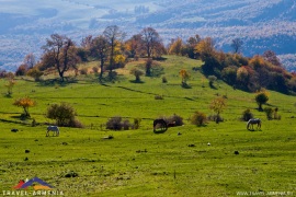 yenoakvan-2